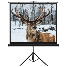 Ecran de proiecție cu suport 60&amp;quot; 1:1 foto