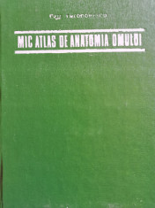 MIC ATLAS DE ANATOMIA OMULUI DR.DOCENT DEM.THEODORESCU 1974 Ca NOUA foto