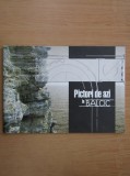 PICTORI DE AZI LA BALCIC (PICTURA CONTEMPORANA,SARBULESCU,ETC.)