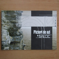 PICTORI DE AZI LA BALCIC (PICTURA CONTEMPORANA,SARBULESCU,ETC.)