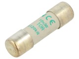 Siguranță AM &Icirc;nt&acirc;rziere 10A 500VAC 10x38mm