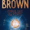 Codul Lui Davinci, Dan Brown - Editura RAO Books
