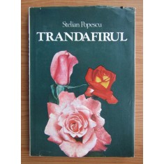 Stelian Popescu - Trandafirul (1986, editie cartonata)