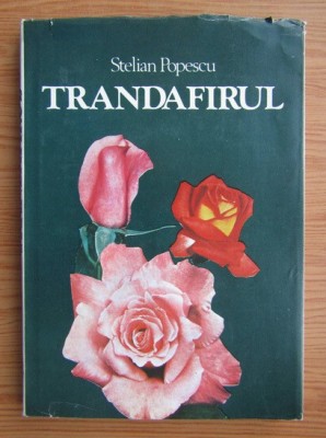 Stelian Popescu - Trandafirul (1986, editie cartonata) foto