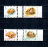 Insulele Cayman 1983 - Cochilii, fauna marina, serie neuzata