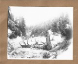 A4186N Pe valea R&acirc;mnicului, 1902