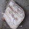Rezervor Dacia 1300 / 1310 original