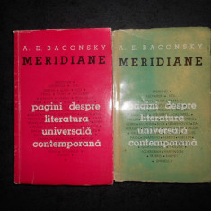 A. E. BACONSKY - MERIDIANE. PAGINI DESPRE LITERATURA UNIVERSALA CONTEMPORANA