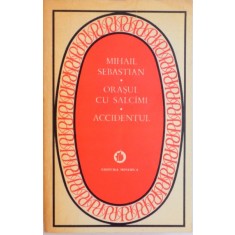 ORASUL CU SALCAMI, ACCIDENTUL de MIHAIL SEBASTIAN, 1983