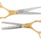 Set Gepard Foarfece De Tuns 6,0 Și Foarfece De Filat 5,0 Model Goldin Offset