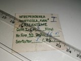 Cumpara ieftin ETICHETA VECHE -FLORI CRIZANTEME- INTREPRINDEREA HORTICOLA 1 MAI