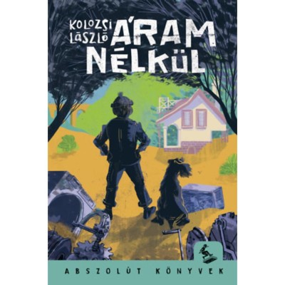 &amp;Aacute;ram n&amp;eacute;lk&amp;uuml;l - Kolozsi L&amp;aacute;szl&amp;oacute; foto