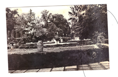 CP Buzias - Vedere din parc, RSR, circulata 1979, stricata pe o latura foto