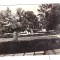 CP Buzias - Vedere din parc, RSR, circulata 1979, stricata pe o latura