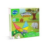 Joc educational Tangram magnetic, Hola