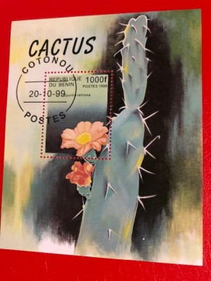 BENIN, CACTUȘI - COLIȚĂ ȘTAMPILATĂ foto