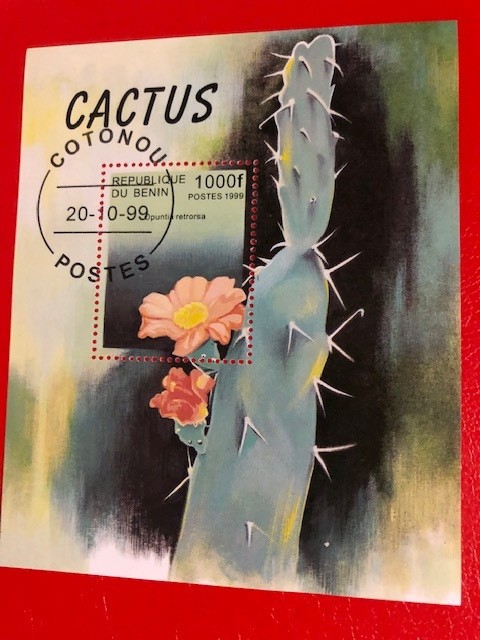 BENIN, CACTUȘI - COLIȚĂ ȘTAMPILATĂ