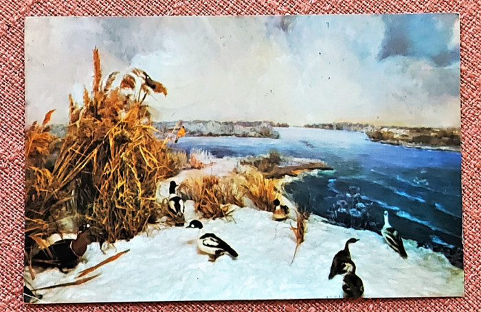 Tulcea - Muzeul Delta Dunarii. Diorama: Insula Sachalin - Circulata, 1973