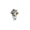 Carburator compatibil cu BRIGGS &amp;amp; STRATTON 594605, ABO-594605, Oem