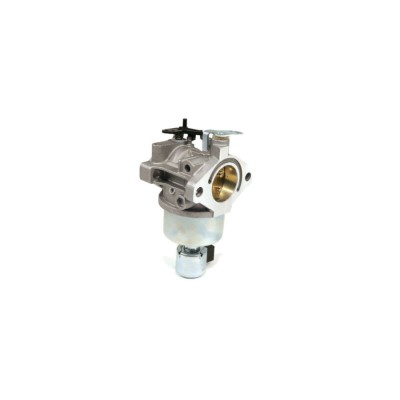 Carburator compatibil cu BRIGGS &amp;amp;amp; STRATTON 594605, ABO-594605 foto