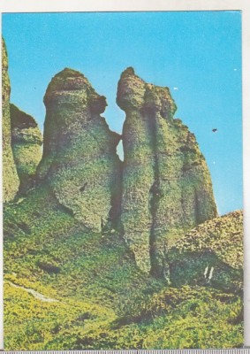 bnk cp Muntii Ciucas - Babele la sfat - necirculata foto