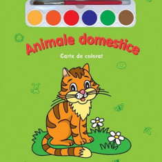 Miracolul culorilor. Animale domestice (carte de colorat + acuarelă + pensulă) - Board book - *** - Prut