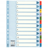 Separatoare Index din Carton Esselte Mylar, A4, Tip Index 1-12, Taste Laminate, Multicolor, Separator Index, Separatoare Carton Index, Separatoare Ess