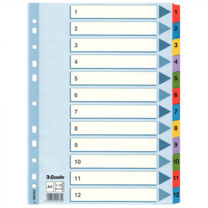 Separatoare Index din Carton Esselte Mylar, A4, Tip Index 1-12, Taste Laminate, Multicolor, Separator Index, Separatoare Carton Index, Separatoare Ess