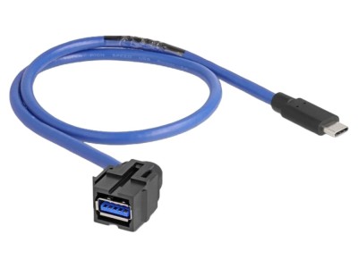 Cablu USB C mufă - USB A soclu, 0,5m foto