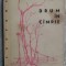 STEFAN BANULESCU: DRUM IN CIMPIE / CAMPIE (REPORTAJE, VOLUM DE DEBUT / ESPLA, 1960)