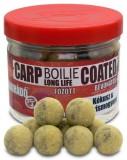 Haldorado Carp Boilie Long Life Coated 18mm - Cocos + Alune Tigrate 70g