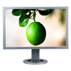 Monitor LED, Diagonala 24&amp;amp;quot;, Eizo S2433W, Stand missing foto