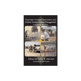 Traumatic Incident Reduction and Critical Incident Stress Management: A Synergistic Approach