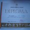 Diploma Uniunea Tineretului Comunist, inot, 1989