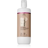 Schwarzkopf Professional Blondme Premium Gel Developer revelator de culoare 2% 1000 ml