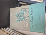 Ioan Corvin de Hunedoara vintage