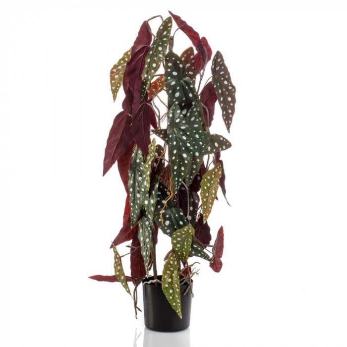 Emerald Planta artificiala Begonia Maculata, 75 cm, &icirc;n ghiveci GartenMobel Dekor