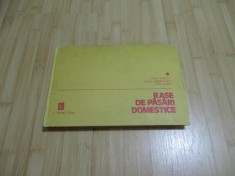 IOAN VANCEA--RASE DE PASARI DOMESTICE - 1981 INTREBATI DE STOC INAINTE foto