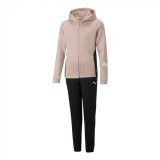 Puma Classic Hooded Tracksuit Fl Cl G Rose Qu 670211-47-104
