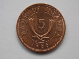 5 CENTS 1966 UGANDA, Africa