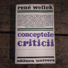 Conceptele criticii Rene Wellek