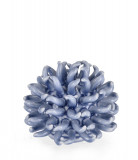Decoratiune Deep Sea Urchin, Bizzotto, &Oslash; 15 x 13 cm, portelan, albastru deschis