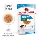 Cumpara ieftin Royal Canin Mini Puppy hrana umeda caine junior (in sos), 85 g