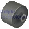 Delphi suport, ax