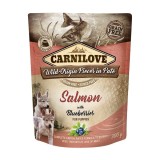 Carnilove Dog Pouch Pat&eacute; Salmon with Blueberries for Puppies, 300 g