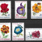 Romania - 1971 - LP 767 - Flori din gradini botanice - serie completa MNH