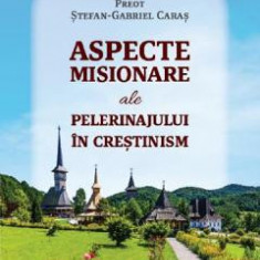 Aspecte misionare ale pelerinajului in crestinism - Stefan-Gabriel Caras