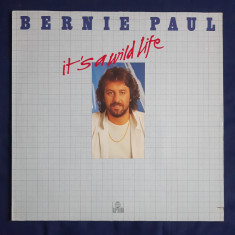 Bernie Paul - It's A Wild Life _ vinyl,LP _ Ariola, Germania, 1981