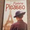 Madame Picasso Anne Girard