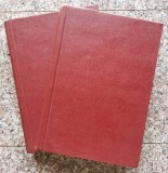 Correlative Neuroanatomy &amp; Functional Neurology 16th Edition - Joseph G. Chusid , B803